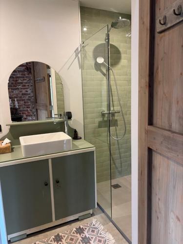 a bathroom with a shower with a sink and a mirror at Vakantiewoning in monumentale boerderij met yurt in Eckelrade