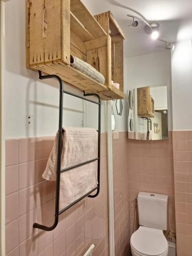 a bathroom with a toilet and a shelf above it at Le Ptit Beau Jus in Aillon-le-Jeune
