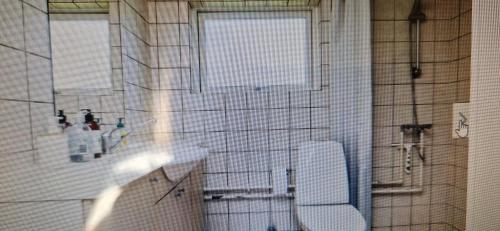 a bathroom with a toilet and a sink and a window at Bogø feriehus in Bogø By