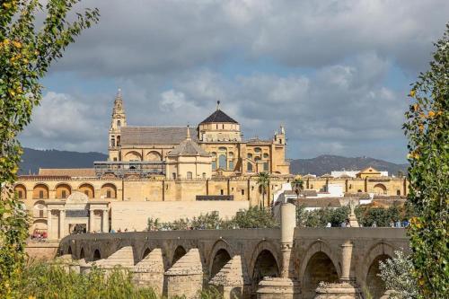 BHost - La Catedral