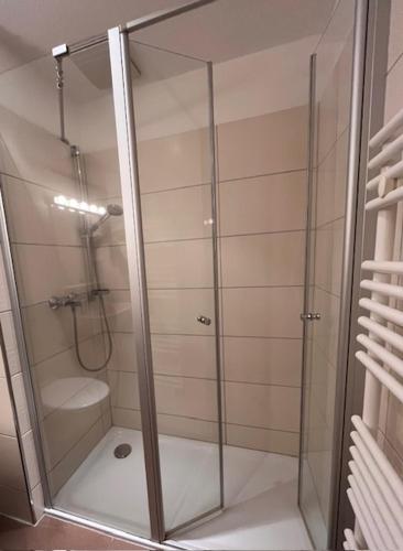 a shower with a glass door in a bathroom at Golfresidenz Landidyll B 107 in Grömitz