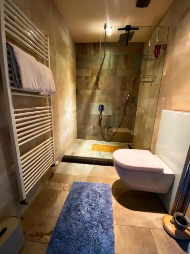 a bathroom with a shower and a toilet and a sink at Weingut Mathis Apartment 1 Burgblick in Klingenmünster