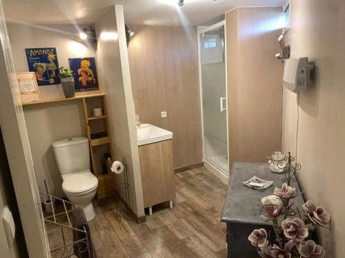 a small bathroom with a toilet and a sink at "MAS TRAMONTANE" Maison et Chambres d'hôtes avec vue sur le massif d'El Canigó in Ille-sur-Têt