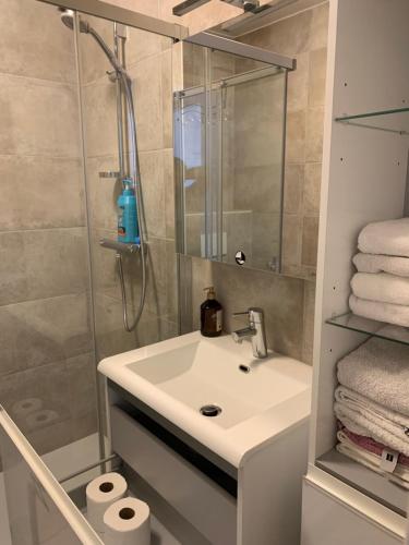 un bagno con lavandino e doccia di Cloche d'or a Lussemburgo