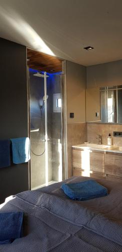 a bedroom with a bed and a bathroom with a shower at Poellodge, Luxe houseboot met zonnig terras in Aalsmeer