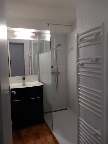 a bathroom with a shower and a sink and a mirror at La Petite de Cayola in Talmont
