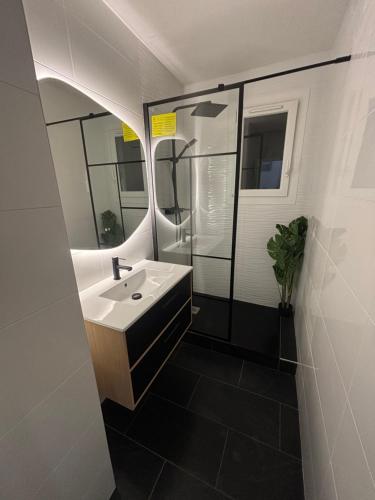 Logement 1 tesisinde bir banyo