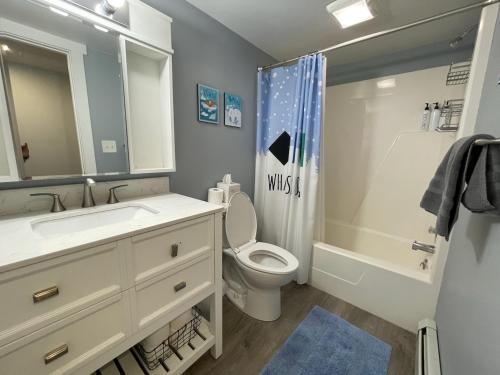 a bathroom with a sink and a toilet and a shower at Mountain bike Ski Eville Mecca in Ellicottville