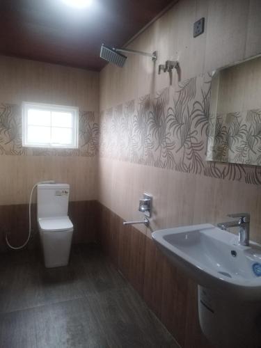 a bathroom with a sink and a toilet at Star Gate Hostel in Nuwara Eliya
