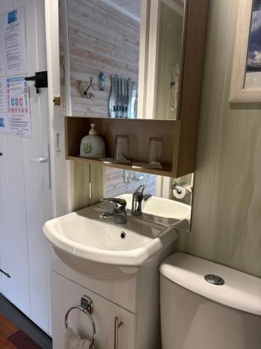 a bathroom with a sink and a toilet at LA MAISON DES HIPPOCAMPES in La Teste-de-Buch