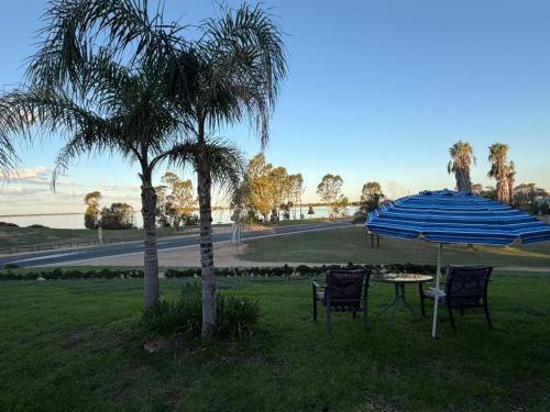 a table and chairs under an umbrella next to a palm tree at CAPRICORN MOTOR inn in Mulwala