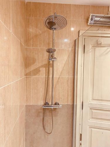 a shower with a shower head in a bathroom at Central Market 2 habitaciones by Salamancavacacional in Salamanca