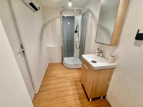 a bathroom with a shower and a white sink at Maison cosy - 4 pers - Disney & Route du Champagne in Citry