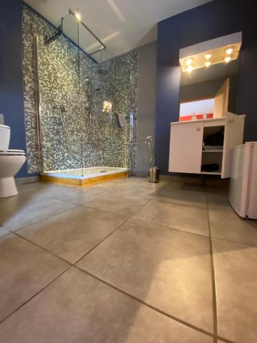 a bathroom with a shower and a toilet at Forges de Pernelle in Couvin