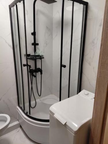 5 separate room in a shared apartment near skytower close to City center