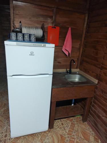 a small kitchen with a sink and a refrigerator at Barbecue House in Vinnytsya