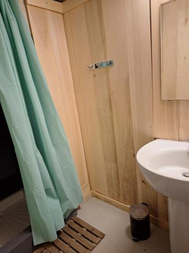 a bathroom with a shower curtain and a sink at Les Renaudières Chalais in Chalais