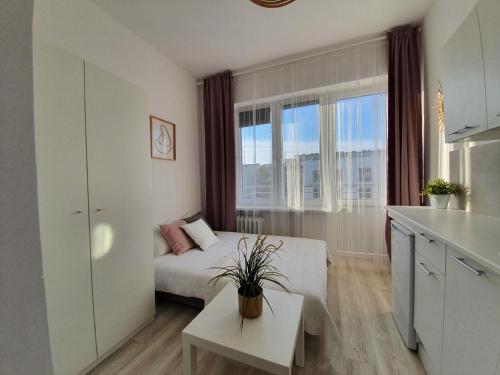 Studio Świętojańska I