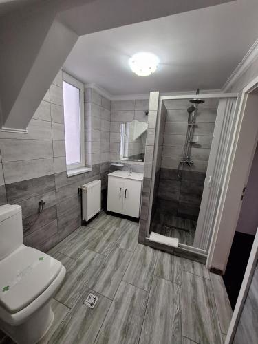 a bathroom with a toilet and a sink at Pensiunea D&D in Făgăraş