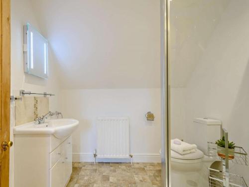 a bathroom with a toilet and a sink and a shower at 2 Bed in Langholm oc-83344 in Langholm