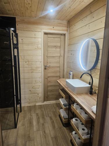 a bathroom with a sink and a mirror at Poleska Przystań in Urszulin