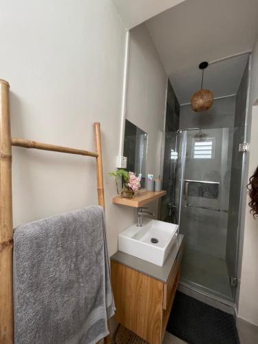 a bathroom with a sink and a shower at Studio Evalia in Albion