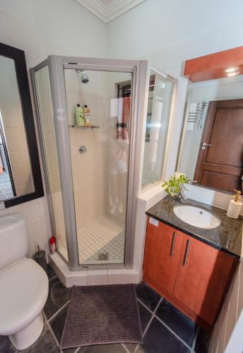 a bathroom with a shower and a toilet and a sink at Central Stellenbosch Apartment with secure parking in Stellenbosch