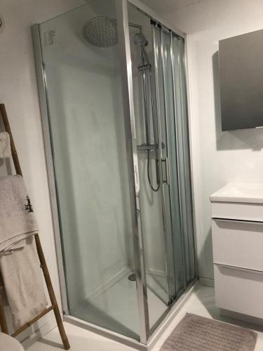a shower with a glass door in a bathroom at Le loft 2 in Vouneuil-sous-Biard