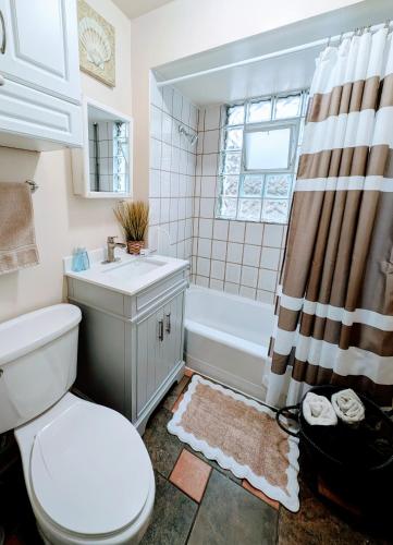a bathroom with a toilet and a sink and a shower at The Avondale Guesthouse in Chicago