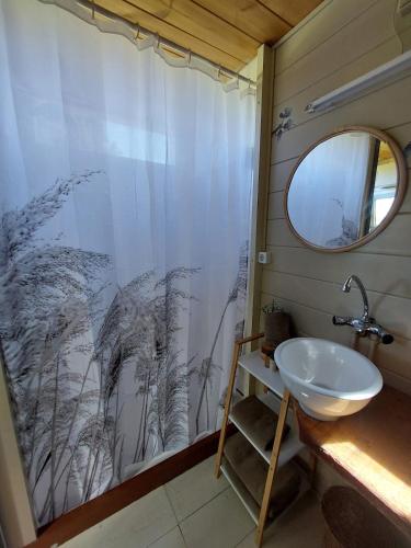 a bathroom with a shower curtain and a sink at Knus Tiny house 2 pers rust natuur en privacy in Borger
