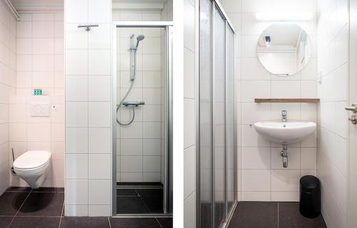 a bathroom with a shower and a toilet and a sink at R-1 Hoeve Holland in De Cocksdorp