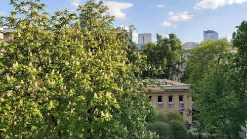 a large tree in front of a building with buildings at Olive Garden City Center in Warsaw