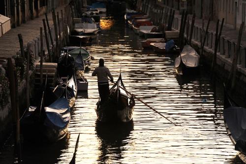 Avogaria 5 Rooms photo 41