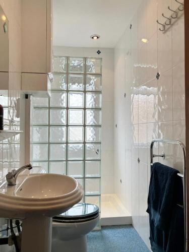 a bathroom with a toilet and a sink at Fiona's House in Filey