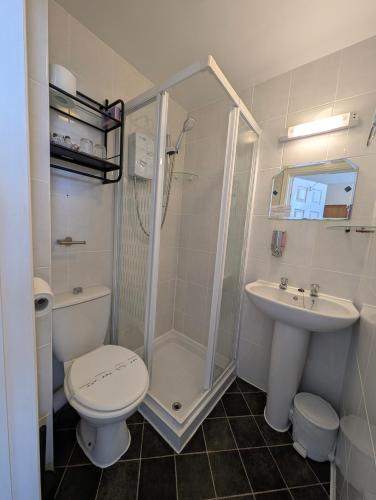 a bathroom with a shower and a toilet and a sink at Del Mar in Llandudno