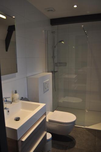 a bathroom with a sink and a toilet and a shower at Kasteel Aldenghoor in Haelen