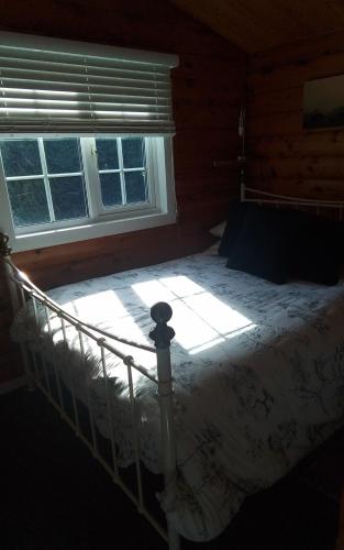 a bedroom with a bed in front of a window at Hamishs log cabin in Blaenau-Ffestiniog