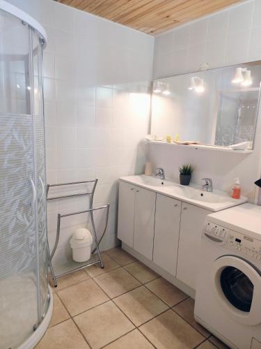 a bathroom with a sink and a washing machine at L'âne à plumes in Coisia
