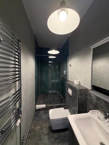 a bathroom with a shower and a toilet and a sink at Große Fewo mit 2 SZ & 2 Bäder mit Parkplatz BoLA 22 in Hamburg