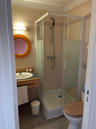 a bathroom with a shower and a toilet and a sink at Le Trianon in Hesdin
