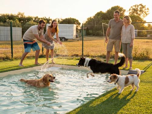 a group of people playing with dogs in a pool at Camping Castelló Mar in Empuriabrava