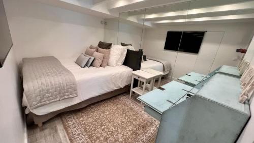 Rooftop Garden Triplex With AC Over Notre - Dame