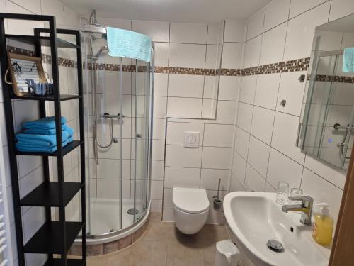 a bathroom with a shower and a toilet and a sink at Ferienwohnung Morgensonne in Bad Schandau