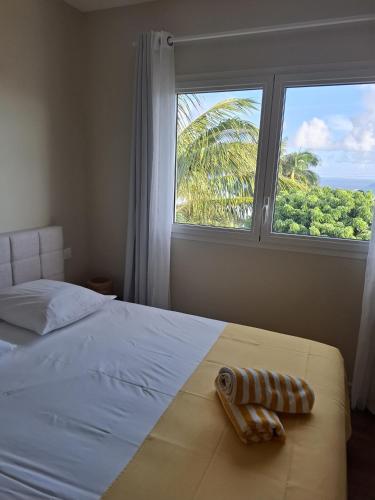 a bedroom with a bed and a large window at Villa Cap Jaune - 30min Volcan - Rando et Confort 4 étoiles in Saint-Joseph
