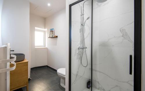 a bathroom with a glass shower with a toilet at Le Vitrail - Climatisation, Parking & Wifi à 150m de la Cathédrale in Rodez