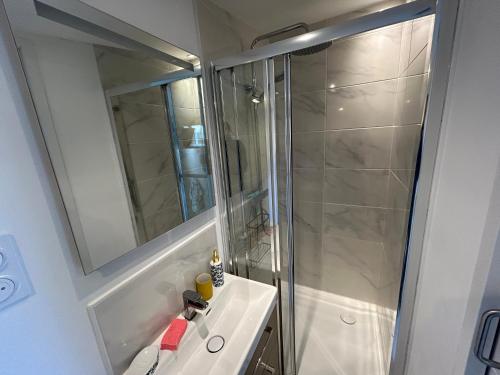 a bathroom with a shower and a white sink at Le Petit Studio de Merlimont in Merlimont