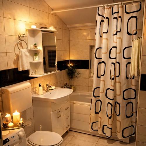 a bathroom with a toilet sink and a shower curtain at Apartman Dionis SM in Sremska Mitrovica