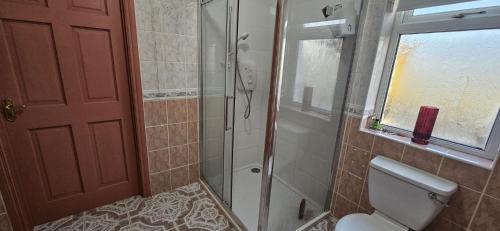 a bathroom with a toilet and a glass shower at Downings View in Ballynaworthra