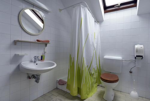 ein Badezimmer mit einem Waschbecken, einem WC und einem Spiegel in der Unterkunft Tourist Farm Ferencovi in Cankova