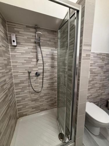 a bathroom with a shower and a toilet at Carlotta 5 in Biella